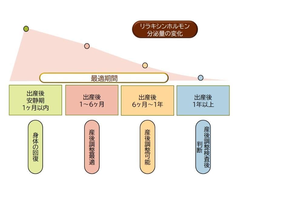 産後骨盤矯正タイミング